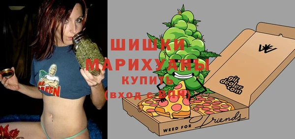 шишки Медногорск