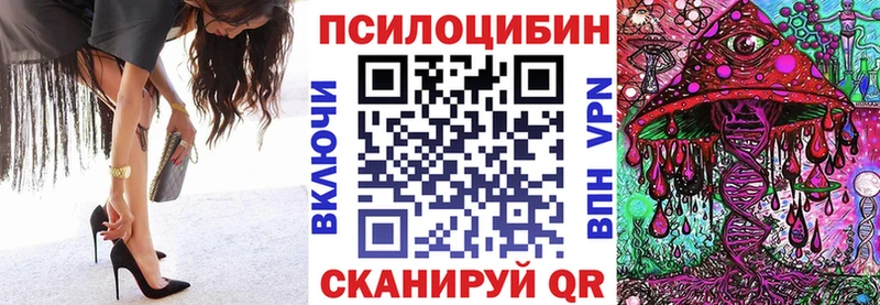 Псилоцибиновые грибы Psilocybine cubensis  Купить закладки  Кингисепп 
